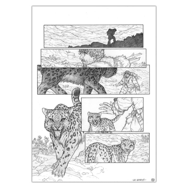 Gianenrico Bonacorsi - Genesis - original plate 40