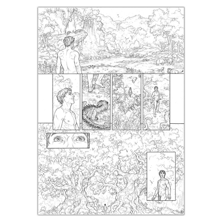 Gianenrico Bonacorsi - Genesis - original plate 6