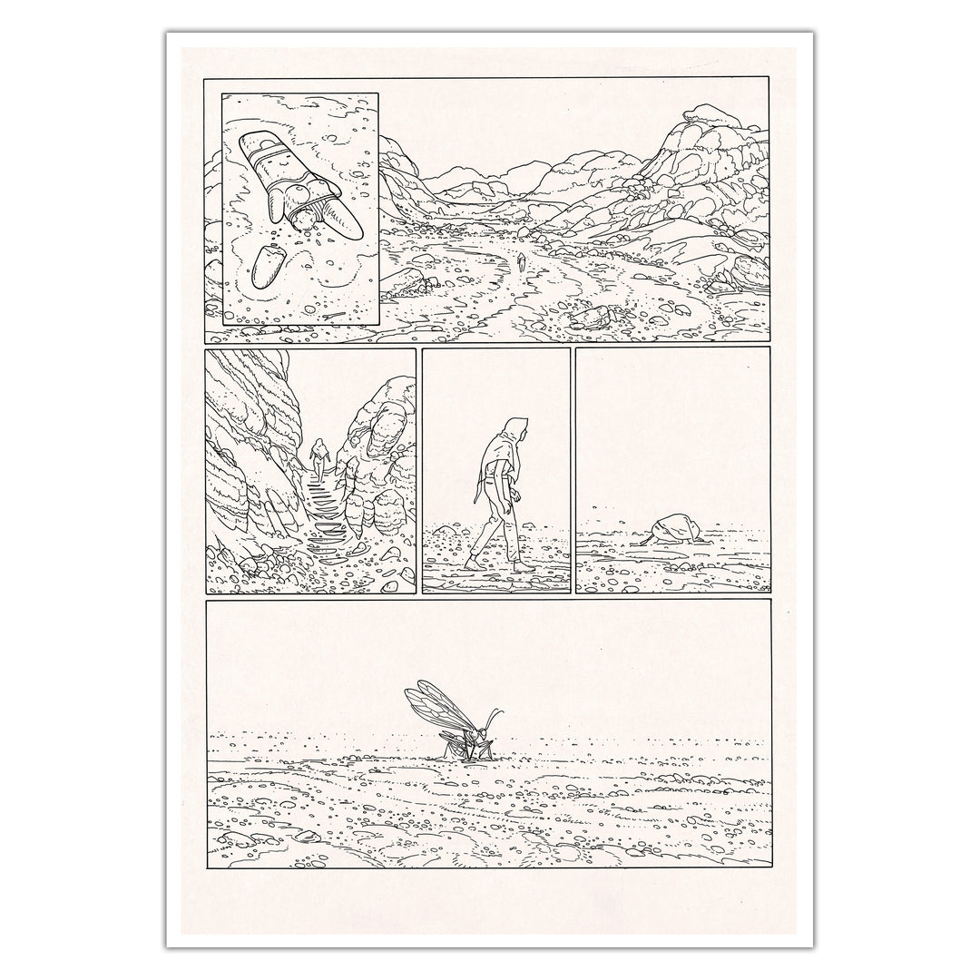 Jared Muralt - Buglands - Planche originale 56