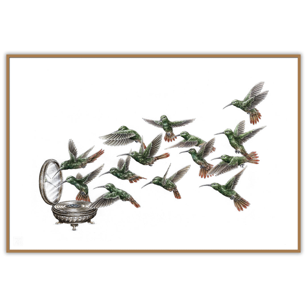 Steeven Salvat - Reflet de Colibris - print
