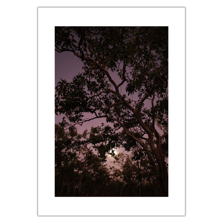 Violet Bond - Moon 1 - Premium print, numbered and signed