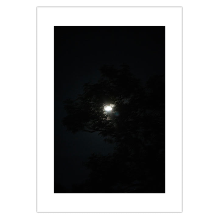 Violet Bond - Moon 2 - Premium print, numbered and signed
