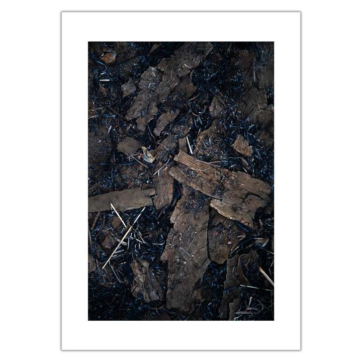 Violet Bond - Still Life 12 - Premium print, numbered and signed