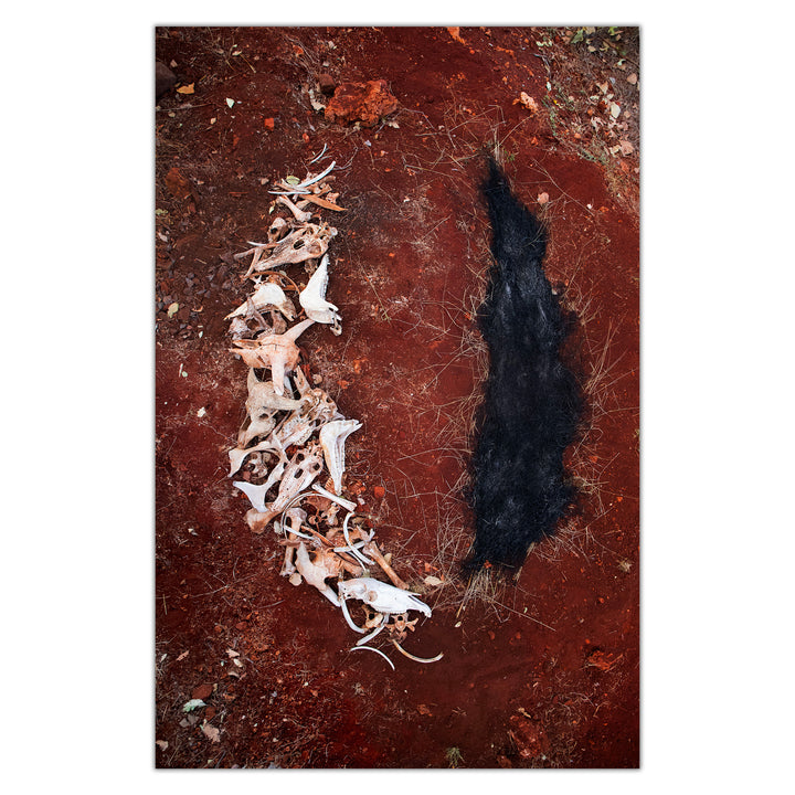 Violet Bond - Artiste Sauvage - Remains 2 - Premium print, numbered and signed