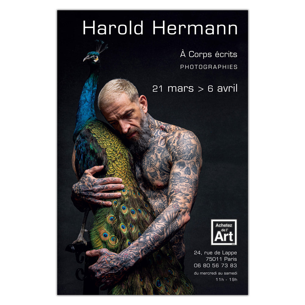 Harold Hermann - On His Back Foot