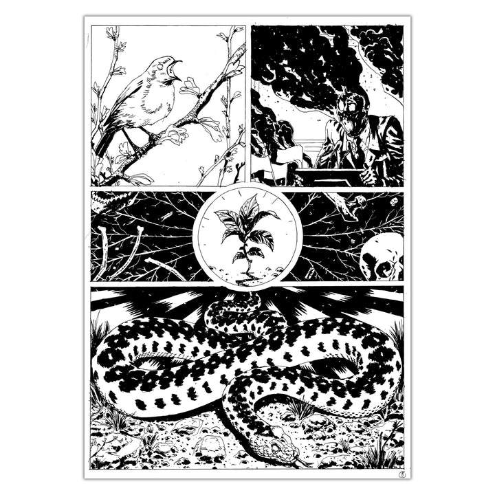 Jérémie Gasparutto - Le chemin derrière la maison - Planche originale 20