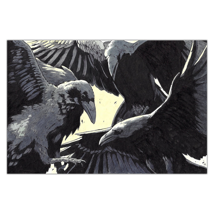 Sylvain Ferret - Mémoire de Gris - Original illustration Crow