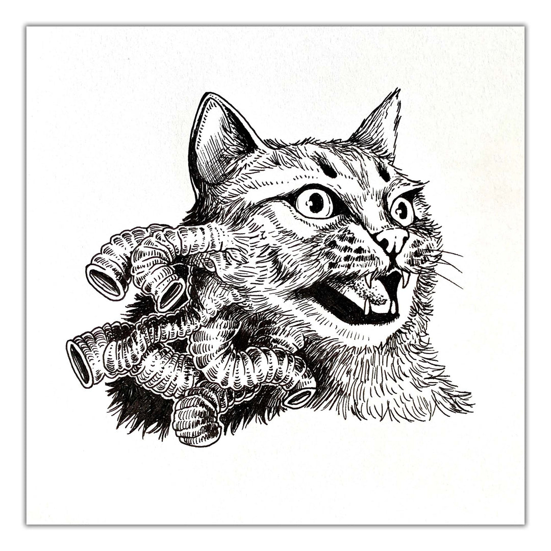 CATS - Capucine Sivignon - « Chartères en coupe » numéro 1 - illustration originale