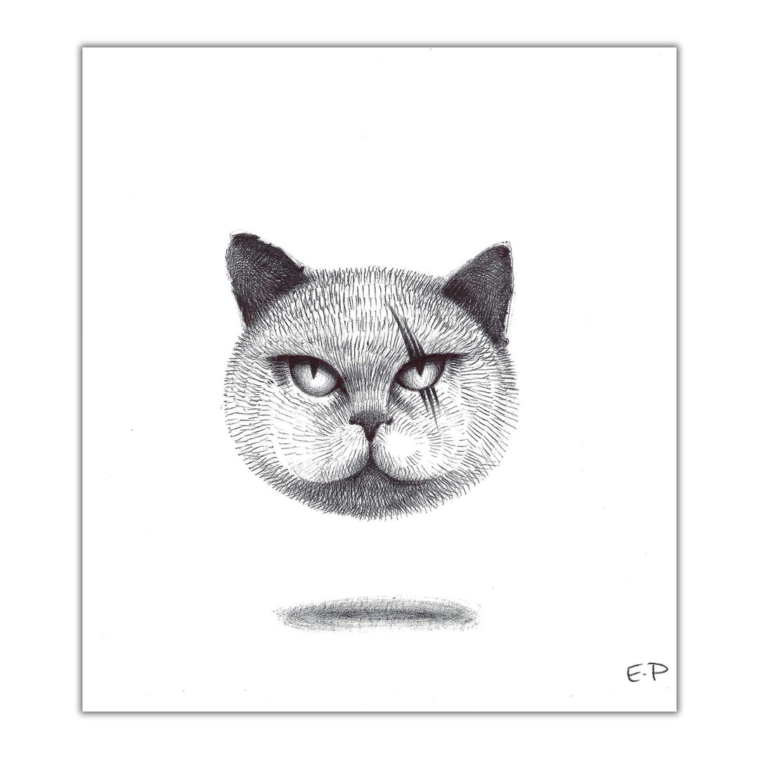 CATS - Emilie Poggi  - "Nerucciu" - illustration originale