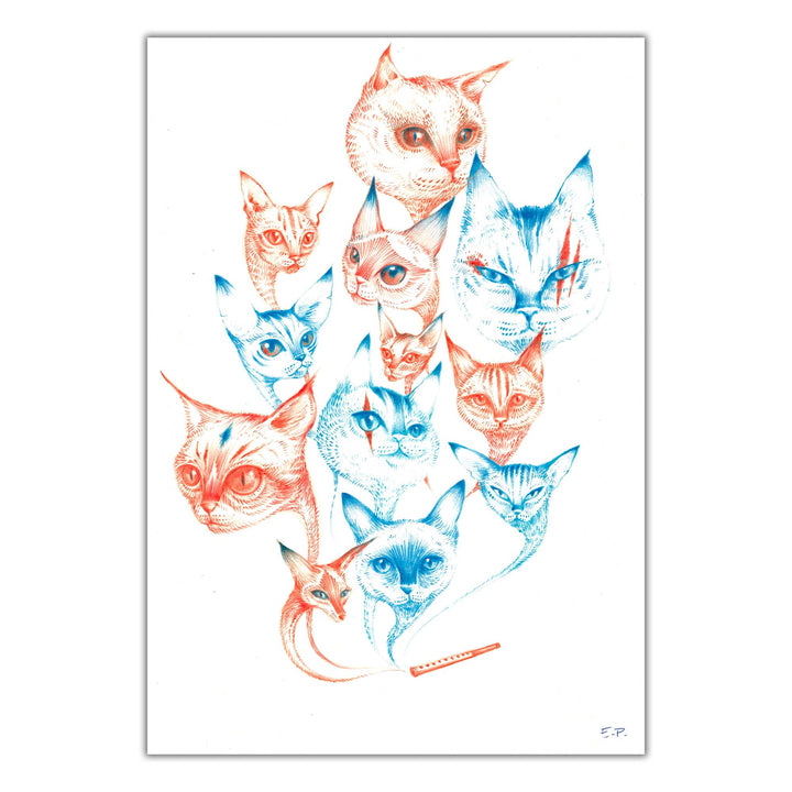 CATS - Emilie Poggi  - "Mimi, Sésame, Kawamura et les autres" - illustration originale